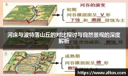 雷竞技raybet官网